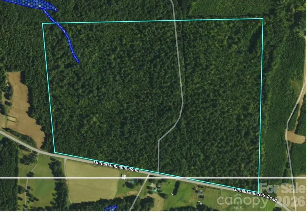 0 Herbert Faucette Road Bullock NC 27507