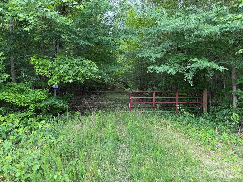 0 Herbert Faucette Road Bullock NC 27507
