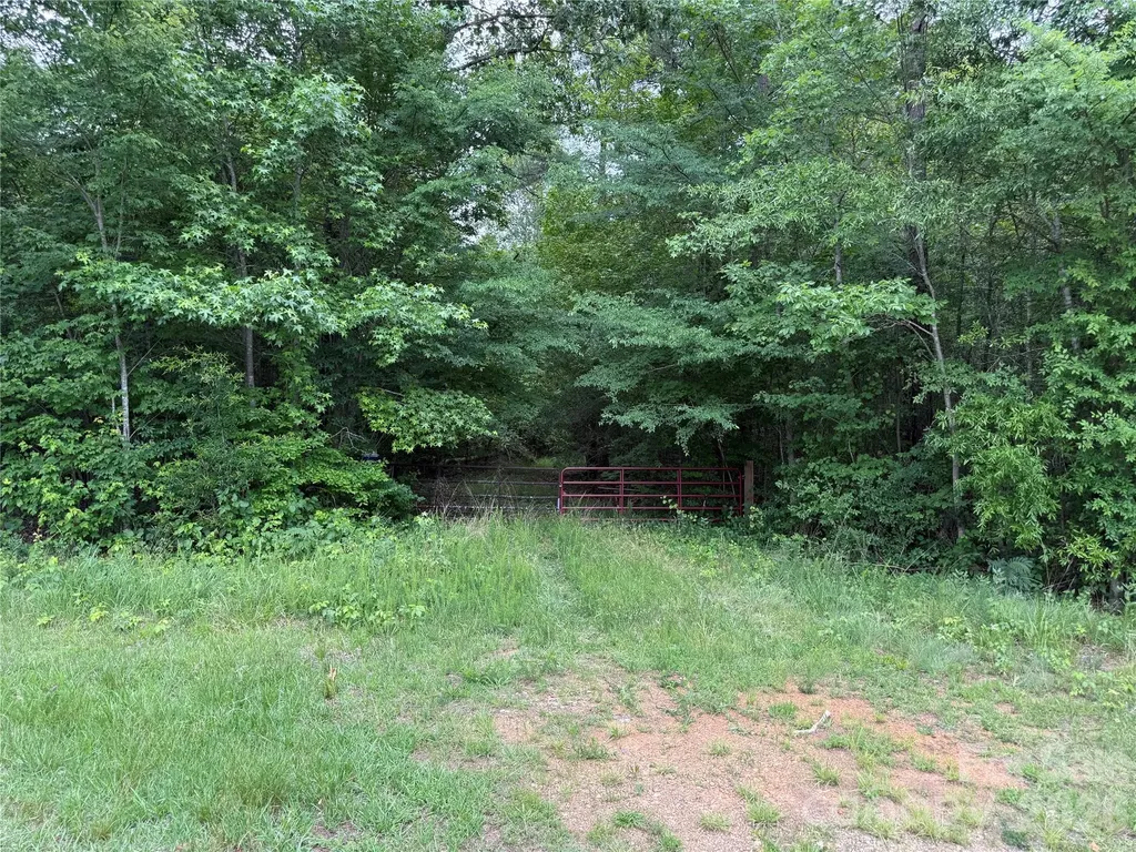 0 Herbert Faucette Road Bullock NC 27507