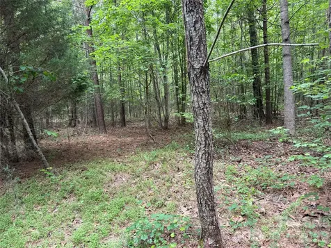 0 Herbert Faucette Road Bullock NC 27507