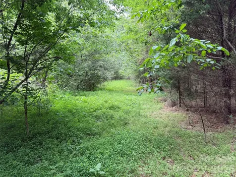 0 Herbert Faucette Road Bullock NC 27507