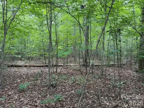 0 Herbert Faucette Road Bullock NC 27507