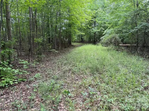 0 Herbert Faucette Road Bullock NC 27507