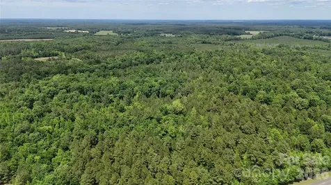 0 Herbert Faucette Road Bullock NC 27507