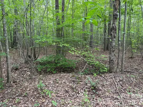 0 Herbert Faucette Road Bullock NC 27507