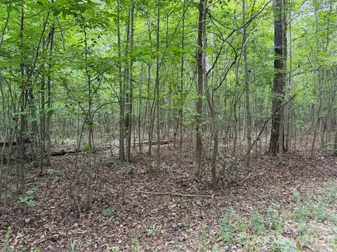 0 Herbert Faucette Road Bullock NC 27507
