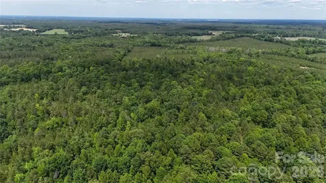 0 Herbert Faucette Road Bullock NC 27507