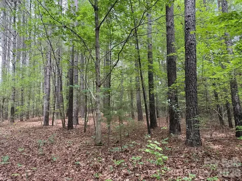 0 Herbert Faucette Road Bullock NC 27507