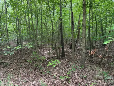 0 Herbert Faucette Road Bullock NC 27507