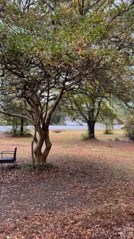3702 Jonesville Lockhart Highway Union SC 29739