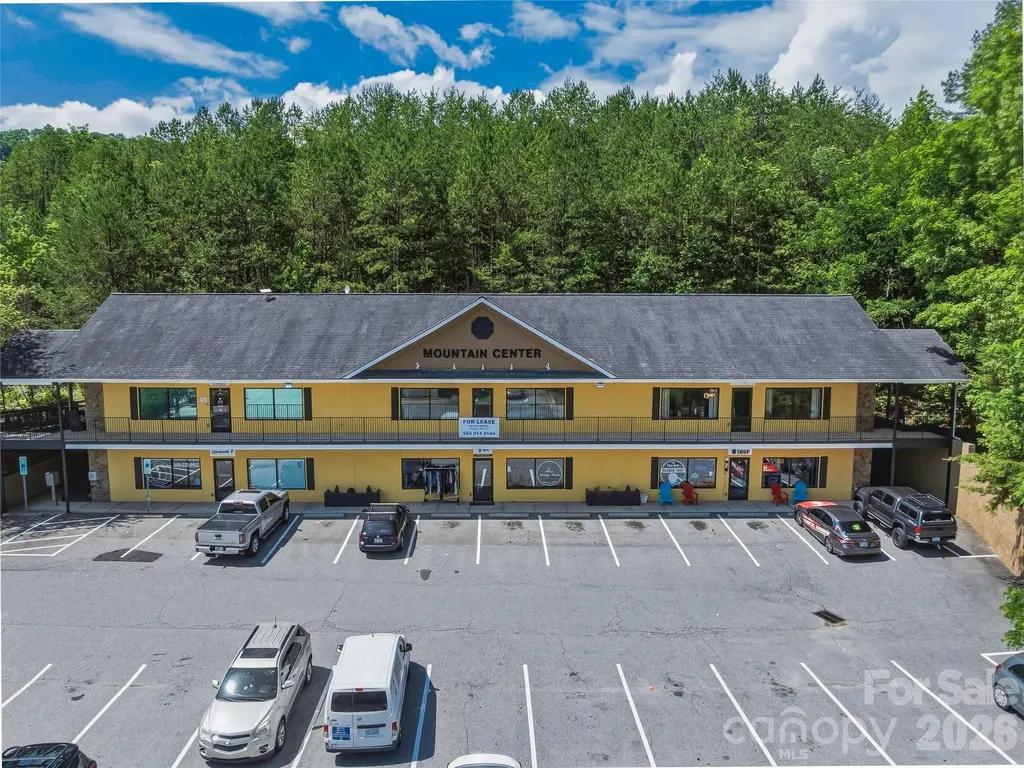9 Fallen Spruce Drive Asheville NC 28806