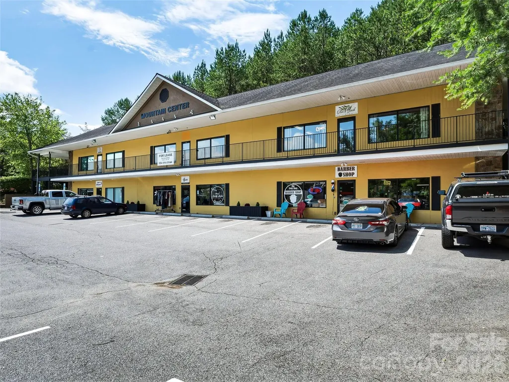 9 Fallen Spruce Drive Asheville NC 28806