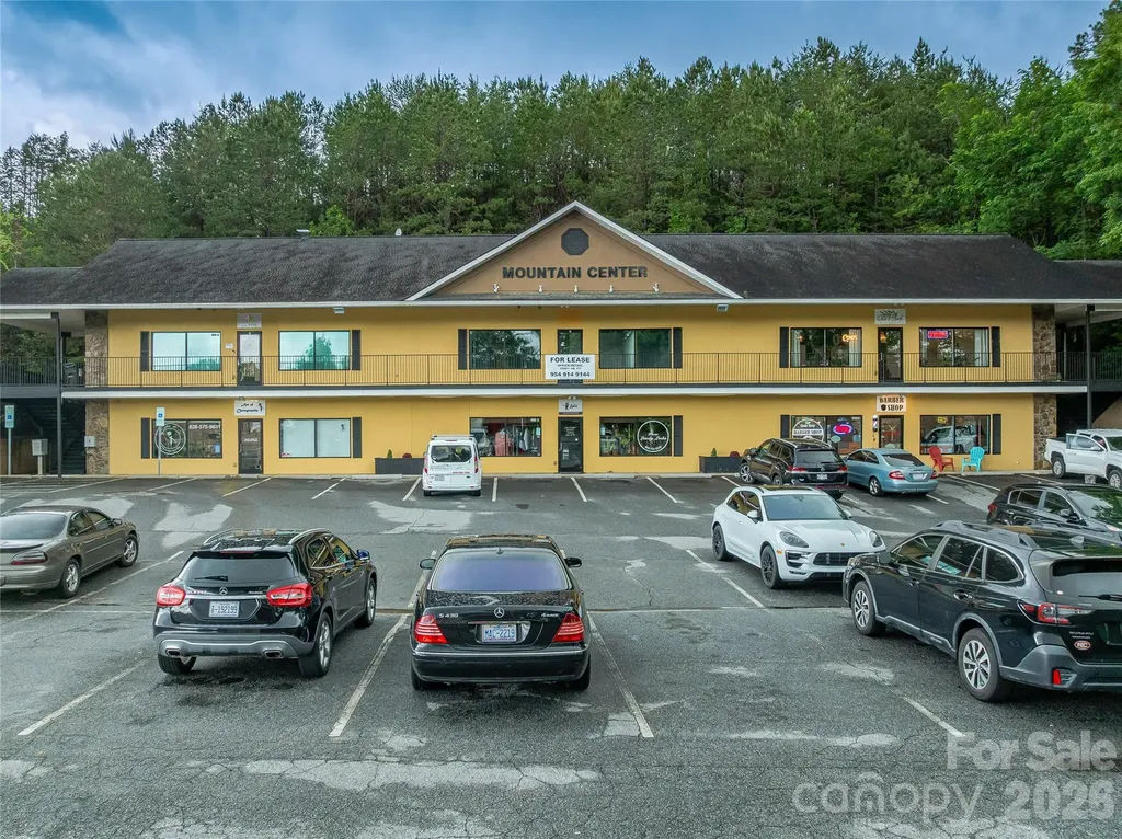 9 Fallen Spruce Drive Asheville NC 28806