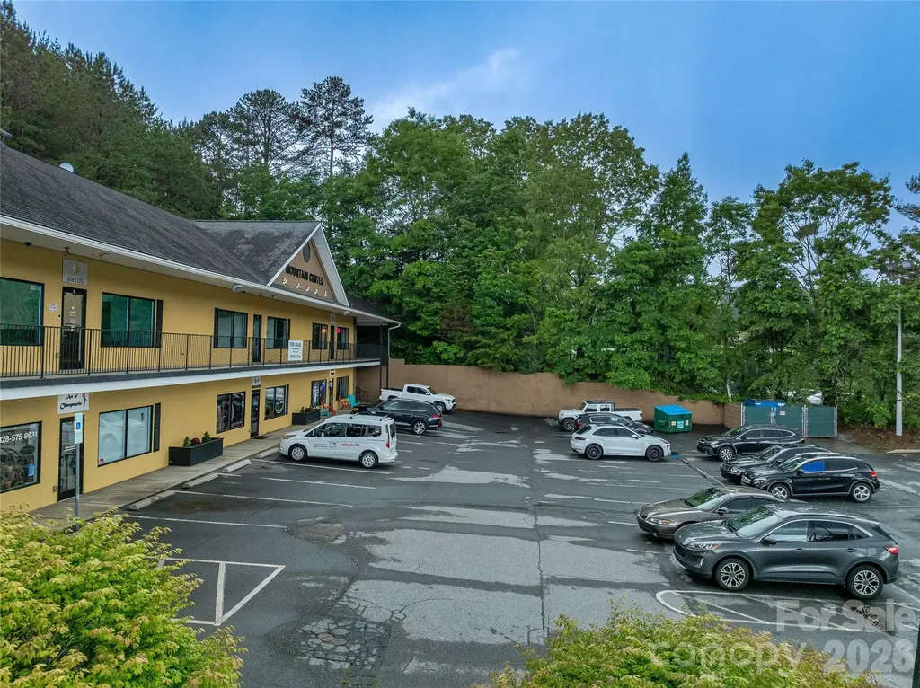 9 Fallen Spruce Drive Asheville NC 28806