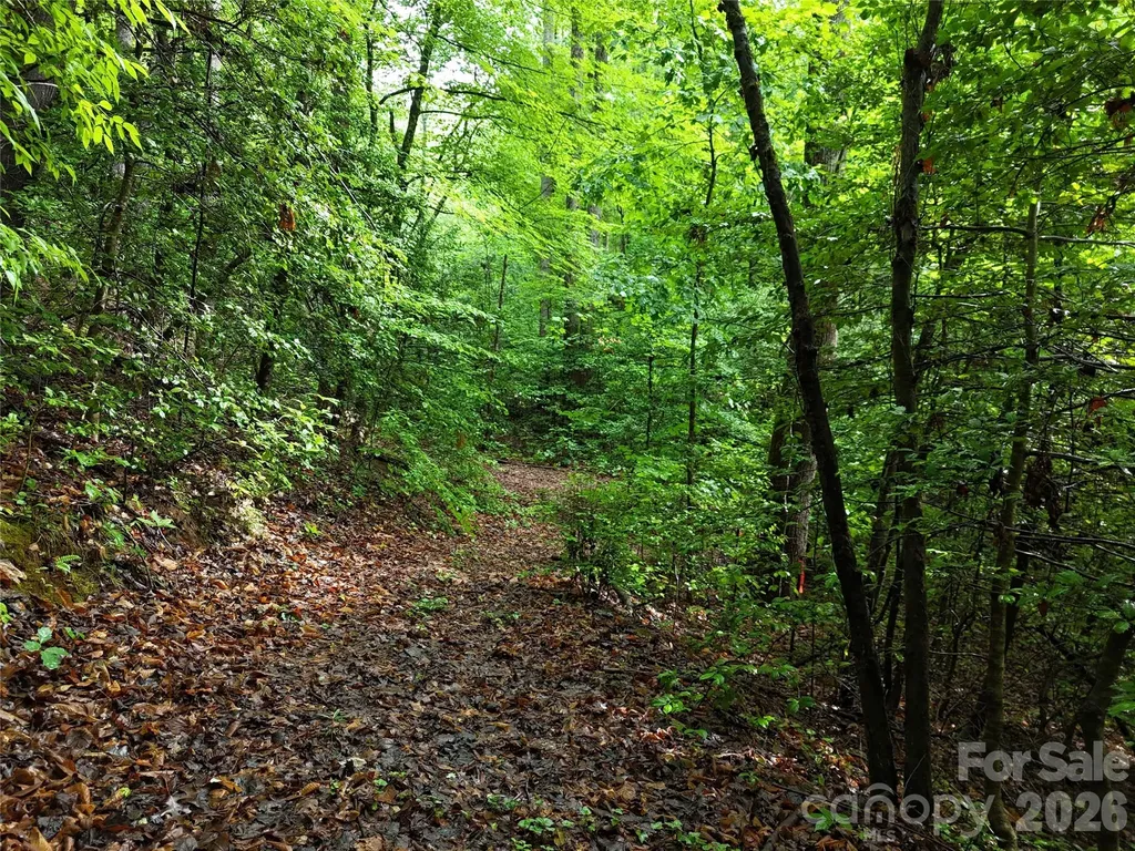 83 Shanty Town Road Old Fort NC 28762