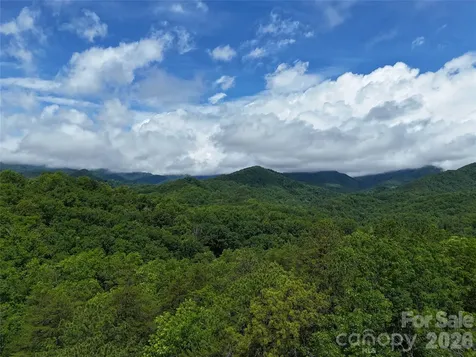83 Shanty Town Road Old Fort NC 28762