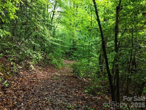 83 Shanty Town Road Old Fort NC 28762