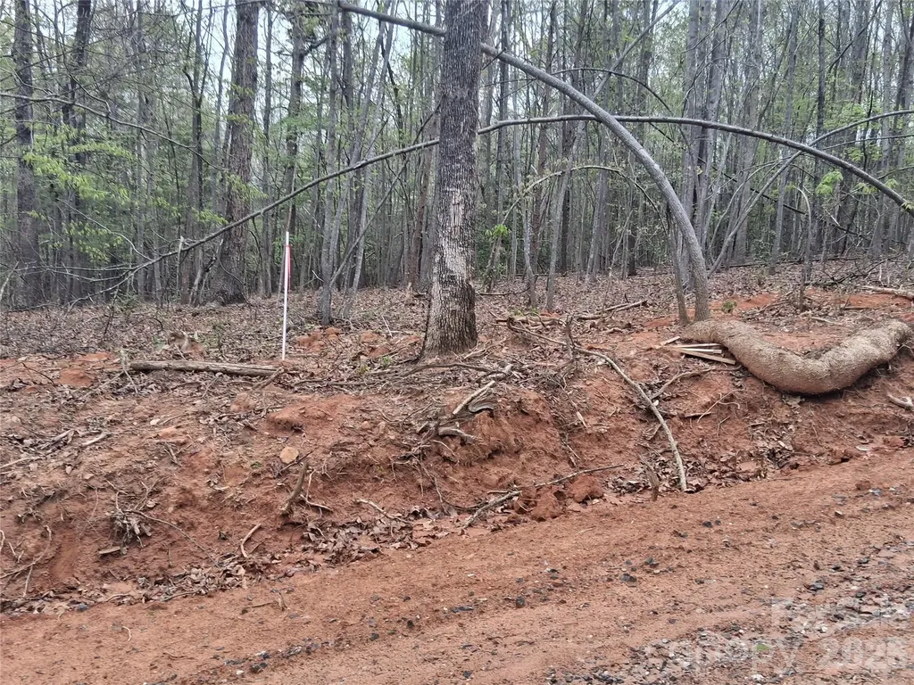 2321 Magnolia Place Morganton NC 28655