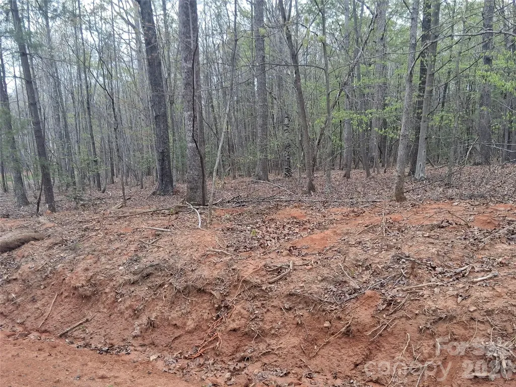 2321 Magnolia Place Morganton NC 28655