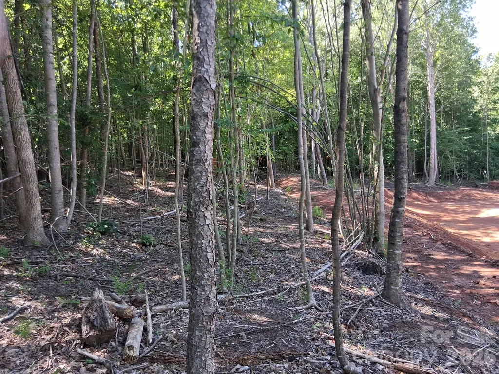 2321 Magnolia Place Morganton NC 28655