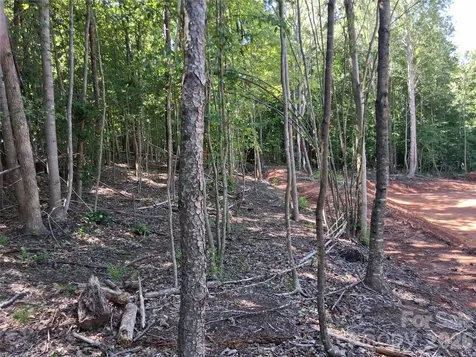 2321 Magnolia Place Morganton NC 28655