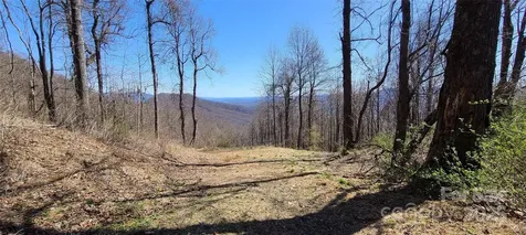 67 Creston Drive Black Mountain NC 28711