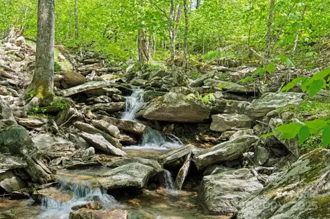 140 Spruce Hollow Road Beech Mountain NC 28604