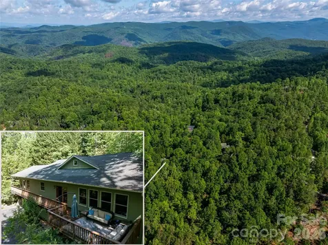 75 Cougar Lane Saluda NC 28773