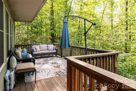 75 Cougar Lane Saluda NC 28773