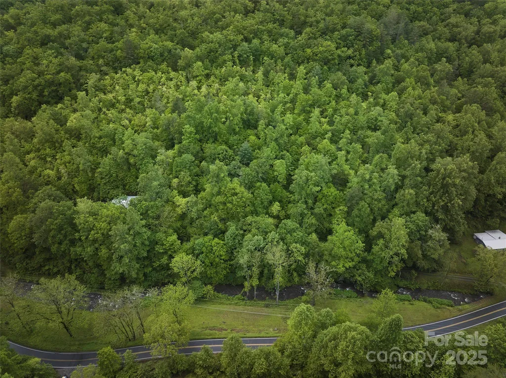 210 Conleys Creek Road Whittier NC 28789