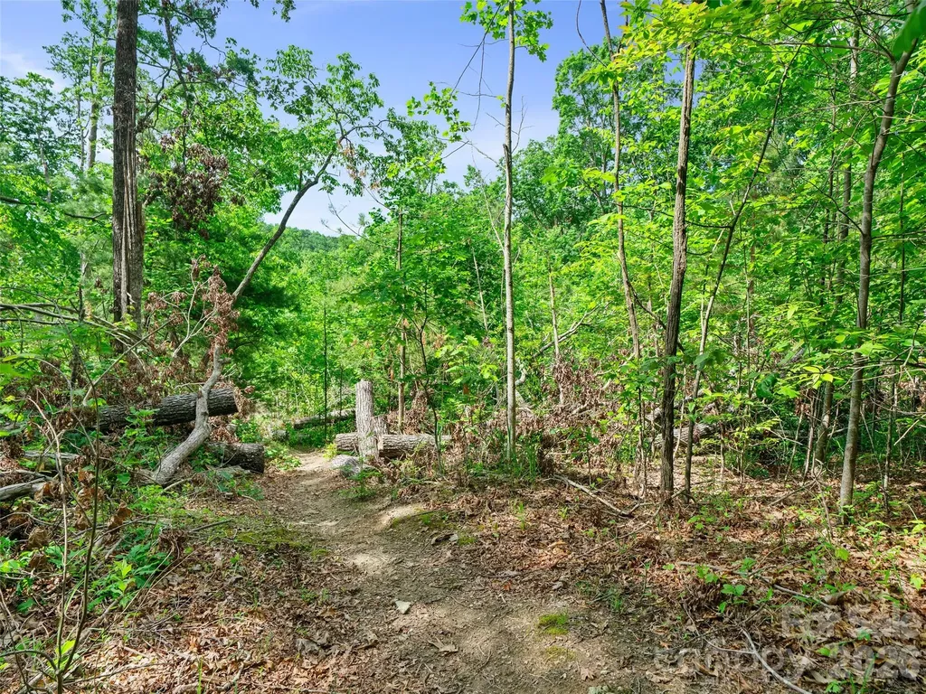99999 Millbrae Loop Hendersonville NC 28791