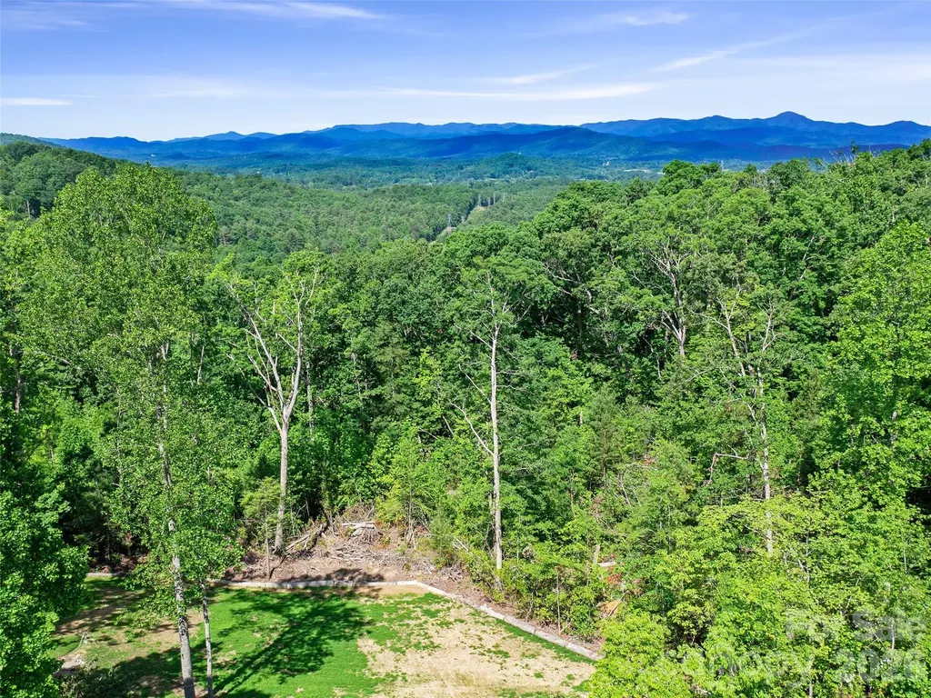 99999 Millbrae Loop Hendersonville NC 28791