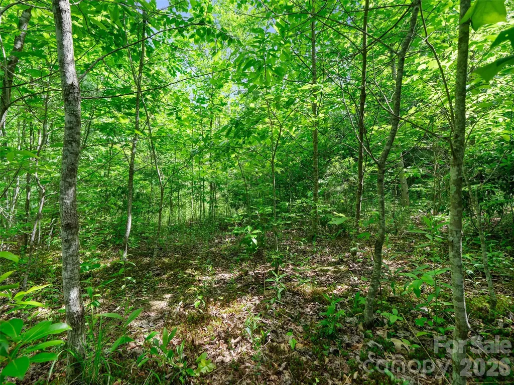 99999 Millbrae Loop Hendersonville NC 28791
