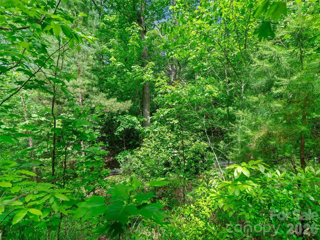 99999 Millbrae Loop Hendersonville NC 28791