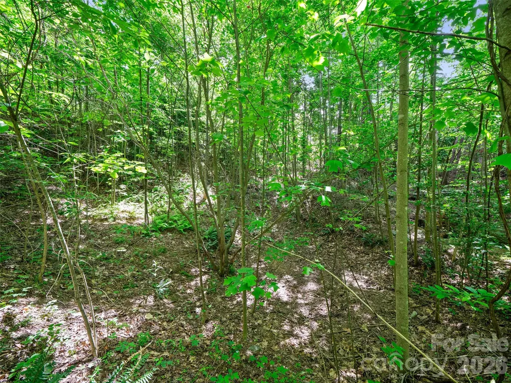 99999 Millbrae Loop Hendersonville NC 28791