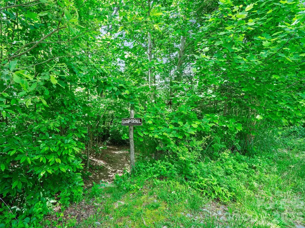 99999 Millbrae Loop Hendersonville NC 28791