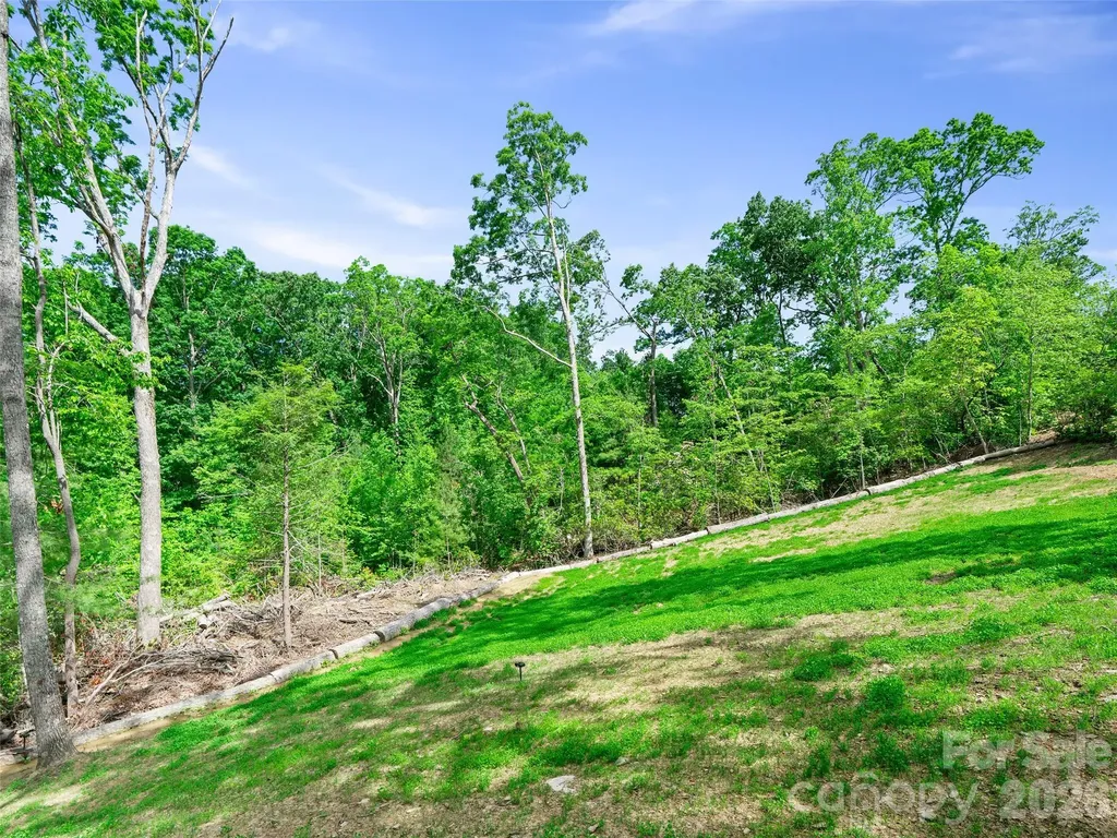 99999 Millbrae Loop Hendersonville NC 28791