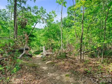 99999 Millbrae Loop Hendersonville NC 28791