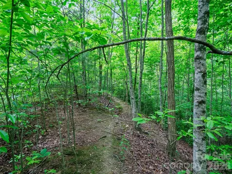 99999 Millbrae Loop Hendersonville NC 28791
