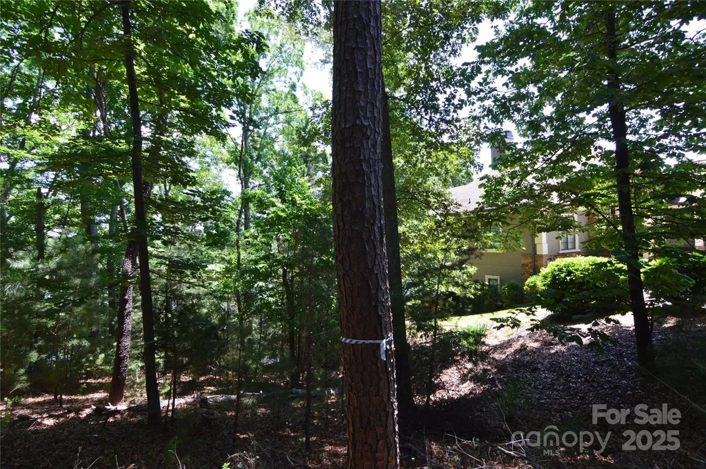 3223 Lake Pointe Drive Belmont NC 28012