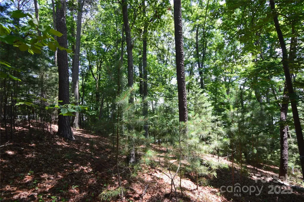 3223 Lake Pointe Drive Belmont NC 28012