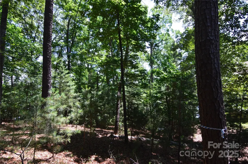 3223 Lake Pointe Drive Belmont NC 28012