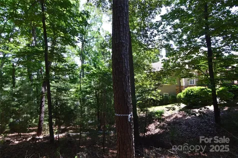 3223 Lake Pointe Drive Belmont NC 28012