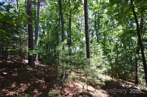 3223 Lake Pointe Drive Belmont NC 28012