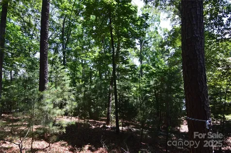 3223 Lake Pointe Drive Belmont NC 28012