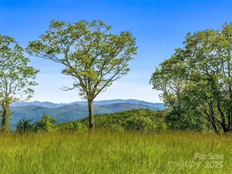 99999 Snow Ridge Drive Hendersonville NC 28792