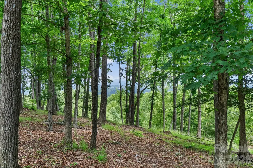 120 Split Rock Trail Arden NC 28704