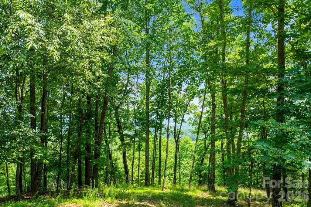 120 Split Rock Trail Arden NC 28704
