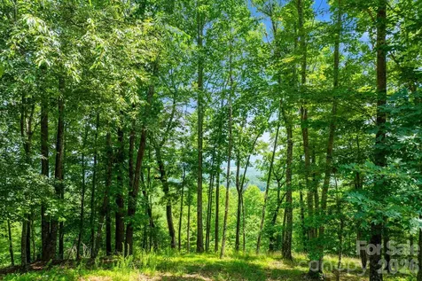 120 Split Rock Trail Arden NC 28704