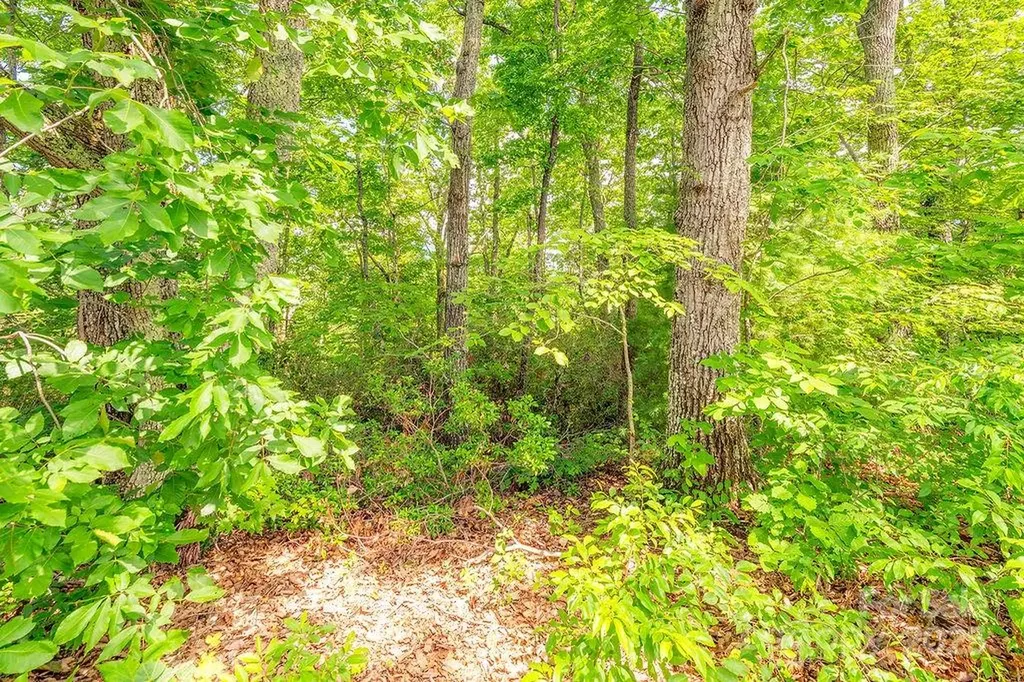 99999 Pheasant Ridge Road Fairview NC 28730
